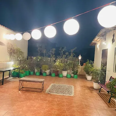 Independent Studio With Terrace In South Delhi